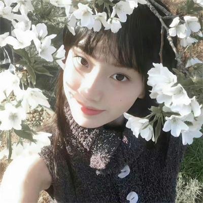 前无古人 动态漫