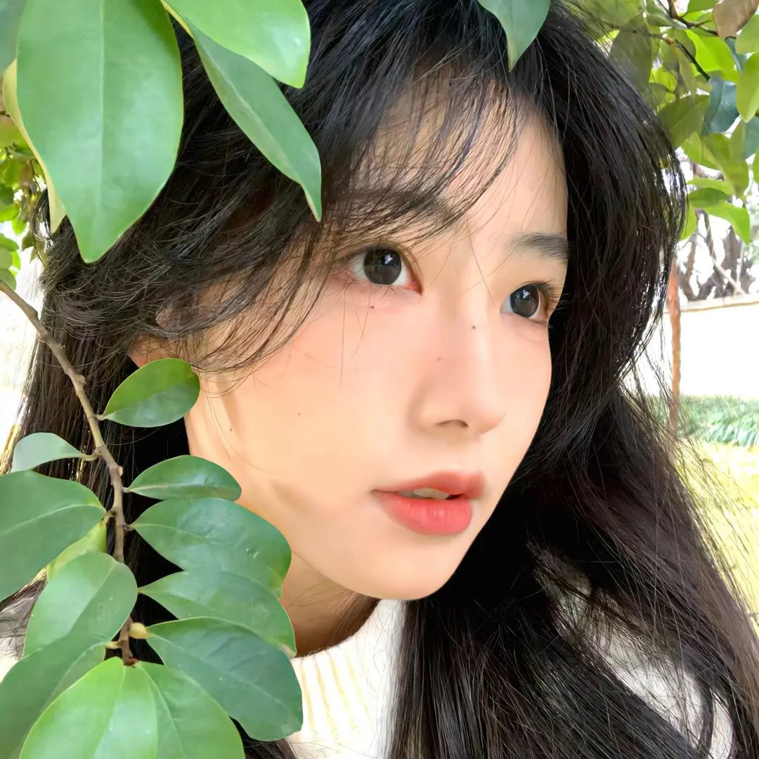 爱欲之岛